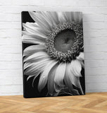 Monochrome Sunflower Black and White Flower Wall Art Canvas Unframed Print Art Sunflower