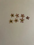 Pressed Dried Flowers All Natural Not Dyed Or Coloured  Flowers Saxifraga Pink Dried Flower