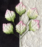 20 Sunflower Leaves small variegated Green Pink floral cards wreaths dolls hats Sunflower