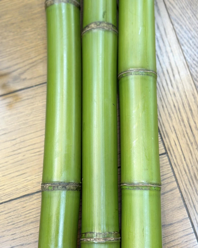 Natural green bamboo stalk segments for decor, fresh cut lengths bundled together