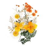 Dried Pressed Flowers Real Pressed Flowers Dry Leaves for DIY Crafts Orange Dried Flower
