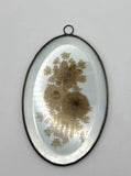 Vintage Pressed Dried Flowers Oval Beveled Glass W Brass Frame 6 1/2x 4 Inches Dried Flower