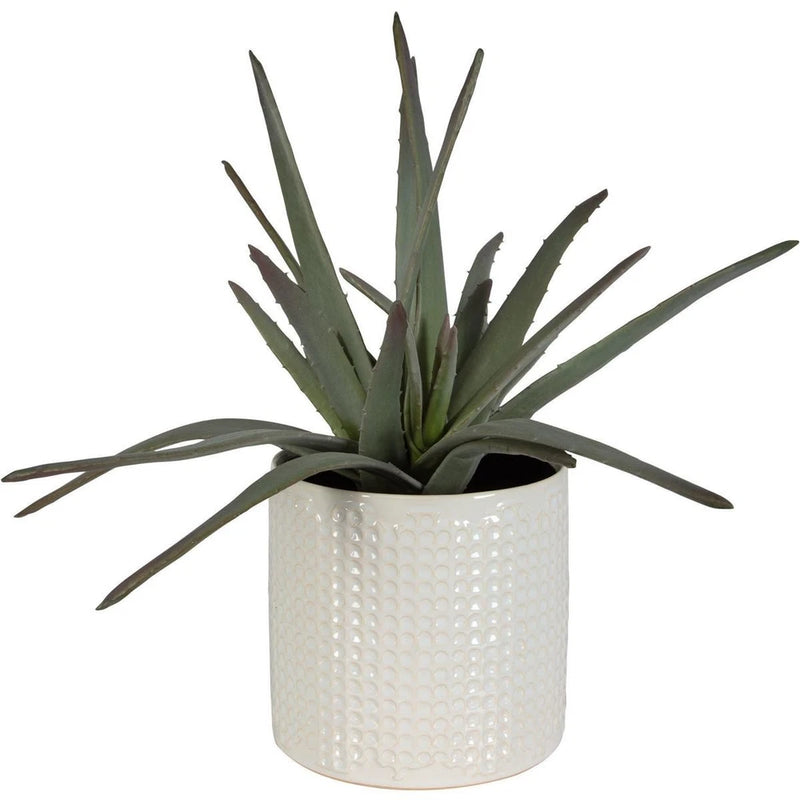 Uttermost 60210 Taos Green with Ivory and Beige Glaze Aloe Centerpiece Green Plant