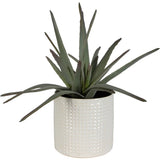Uttermost 60210 Taos Green with Ivory and Beige Glaze Aloe Centerpiece Green Plant