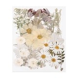48 Pcs Dried Pressed Flower Leaves Bulk for Resin, White Gray Dried Flower