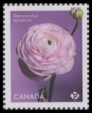 Canada 3372b Ranunculus White P single (from sheet) MNH 2023 Ranunculus