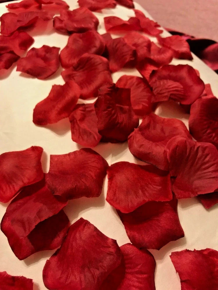 Dried wine-red rose petals for wedding and party decor, 100-piece pack