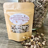 Sun Dried Yoshino Cherry Blossom Flowers for Soap Making~Candles~Tincture Crafts Dried Flower