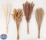 Dried Pampas Grass Decor, 100 Stems Pampas Grass Contains Bunny Tails Dried F Pampas Grass