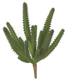 Signature Foliage 7.5 Inch Dogtail Cactus Spray A-161540 Green Plant
