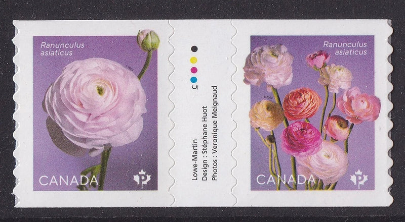 Canada 3373-3374 3374a Ranunculus P coil gutter pair MNH 2023 Ranunculus