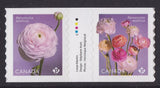 Canada 3373-3374 3374a Ranunculus P coil gutter pair MNH 2023 Ranunculus