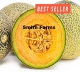 10+ Seeds Quincy Melon Cantaloupe Easy Fruit Garden Planting Edible Garden Plants