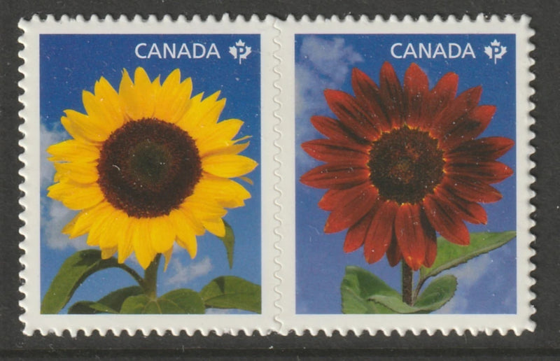 Canada postage stamp pair with yellow and red-orange sunflower blooms, die-cut