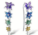 Rainbow lily ear climbers Lily