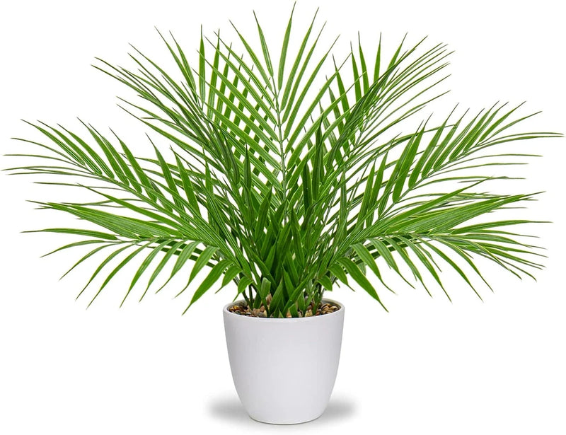 Fake Plant 15ÕÕ Artificial Palm Plant in White Pot Real Touch Faux Tropical Palm Green Plant