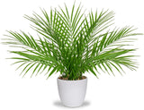 Fake Plant 15ÕÕ Artificial Palm Plant in White Pot Real Touch Faux Tropical Palm Green Plant