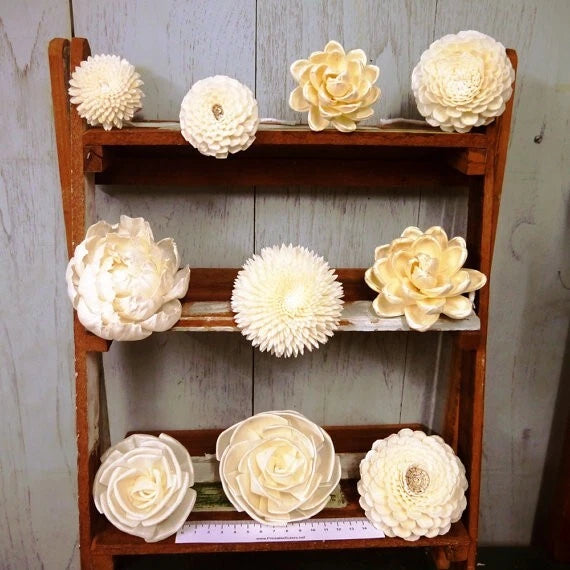 Sola wood diffuser flower set in cream tones, arranged on a wooden shelf