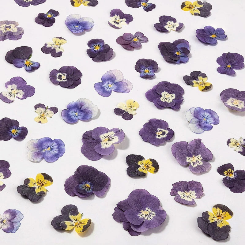 60Pcs Dried Pressed Pansies Flowers for Cake Decorating, Purple, Purple Dried Flower
