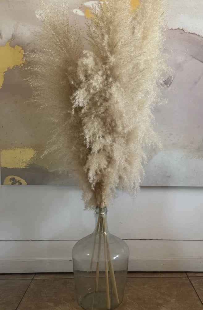 Dried Pampas Grass Arrangement in Glass Vase Beige Floral Decor Pampas Grass