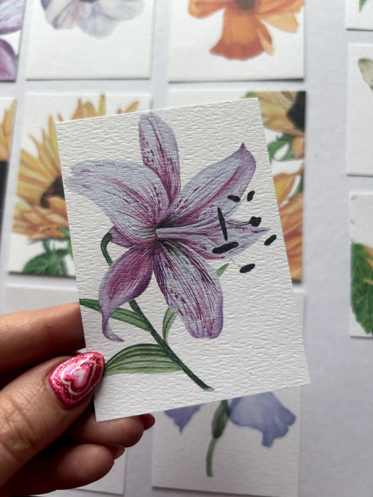 Watercolor flower print card with purple lily and green stem on white background