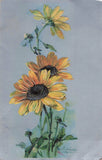 Klein Sunflower Flowers Postcard Artist Signed Embossed PM 1907   Y9 Sunflower