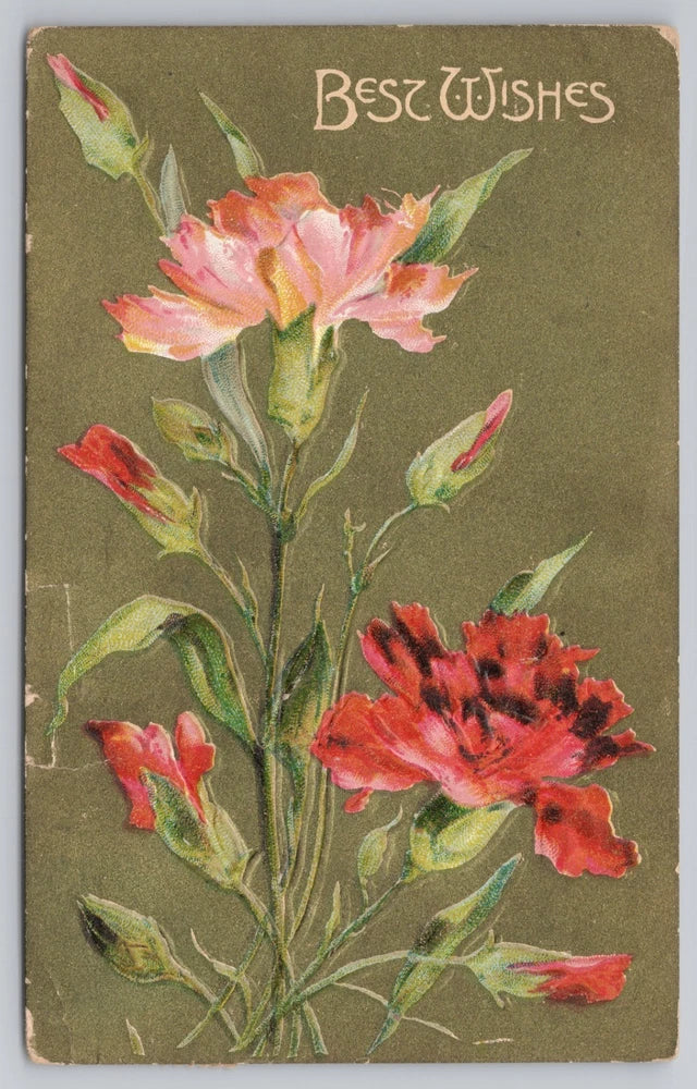 Vintage postcard with pink and red carnation flowers and 'Best Wishes' text