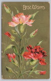 Best Wishes Carnation Flowers Green Background c1908 Postcard Carnation