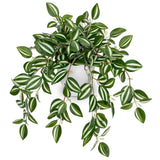 Fake Plants Indoor Artificial Potted Silk Plants Faux Watermelon Peperomia Ca... Green Plant