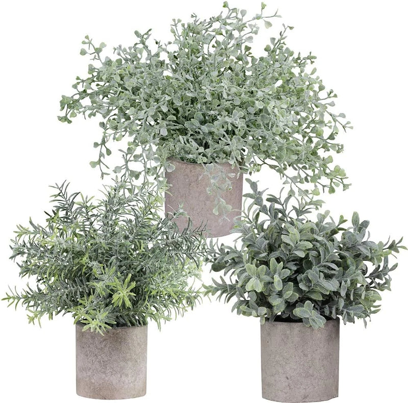 Mini Potted Plants Artificial Flocked Eucalyptus Boxwood Rosemary Greenery in Po Green Plant