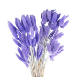 60pcs Natural Bunny Tails Dried Flowers 24" Mini Pampas Grass, Lavender Purple Pampas Grass