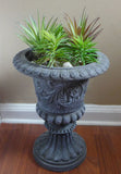 Set of 5 Artificial Succulents Plants Two Colors Agave And Mini Pine Trees Green Plant