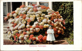 Postcard California Hydranges - two little girls with giant hydrangea bush Hydrangea