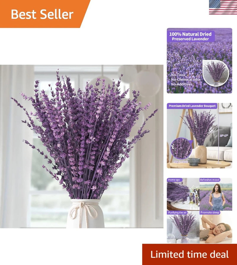 Dried preserved lavender bouquet with purple flower stems tied with twine