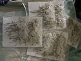 Wedding Floral Baby Breath Dried In Vacuum Sealed Packages NEW Bouquet