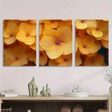 3pcs Yellow Hydrangea Flower Perfect Wall Art Canvas Framed 50x70cm Hydrangea