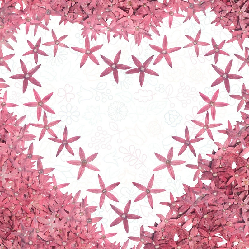 Pressed dried flower sheet with small purple blossoms and petals