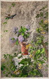 Hydrangea (Hortensia) and Loosestrife | Botanical Lithograph | Ed. Muller 1872 Hydrangea