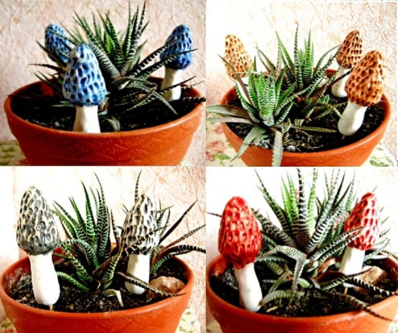 Set of 2 ceramic morel mushroom decorations with textured caps in a terracotta planter.