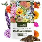 Wildflower Seeds Hummingbird and Butterfly Mix 1 Ounce, No Filler, 24 Varieti... Garden Plants