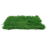 Simulated Moss Decor Artificial Grass Mat Roll Plants Outdoor Realistic Rug Green Plant