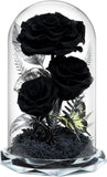 Forever Flowers in Glass Dome - Preserved Roses, for Her Women Valentine'S Day, Roses