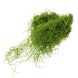 Preserved Moss for Crafts Fake Plant Planter Artificial Decorating Green Plant
