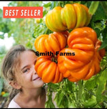 50+ Seeds Orange Accordion Tomato Easy to Grow Vegetable Garden Planting Garden Plants