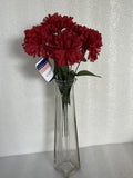 Red Carnations Bouquet 13Ó Flowers Memorial Day, July 4th, Mothers Day NEW Carnation