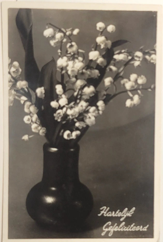 RPPC Lily of the Valley Dutch Greetings Hartelijk Gefeliciteerd Postcard D66 Lily