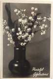 RPPC Lily of the Valley Dutch Greetings Hartelijk Gefeliciteerd Postcard D66 Lily