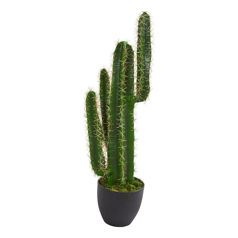 Pemberly Row 30" Cactus Artificial Plant with Thick Stem/Spines in Green/Black Green Plant