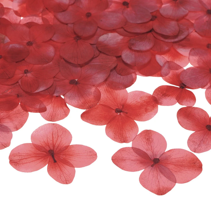 60-Pack Dried Pressed Flowers for Resin, Real Natural Bulk Dry Floral [Red] Dried Flower