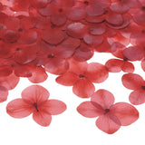 60-Pack Dried Pressed Flowers for Resin, Real Natural Bulk Dry Floral [Red] Dried Flower